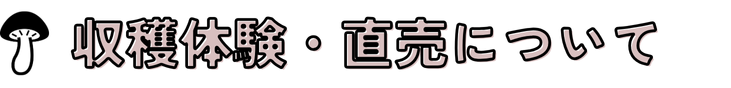 収穫体験・直売について